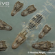 Illustration for article titled Sunday Crocodilian - Alligator sinensis Edition